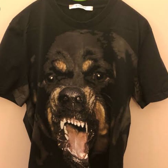 Beautiful Givenchy dog 😍 - Picture 2 of 2